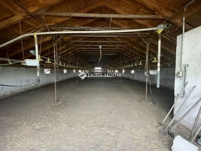 Eladó mezőgazdasági ingatlan Domaszék 117 nm