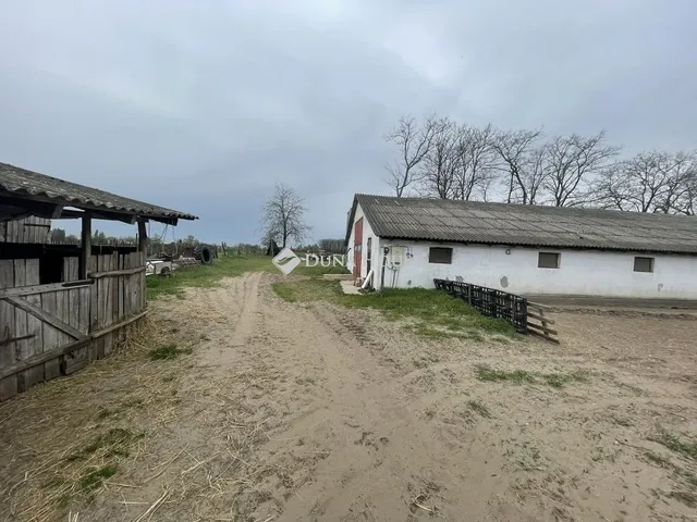 Eladó mezőgazdasági ingatlan Domaszék 117 nm