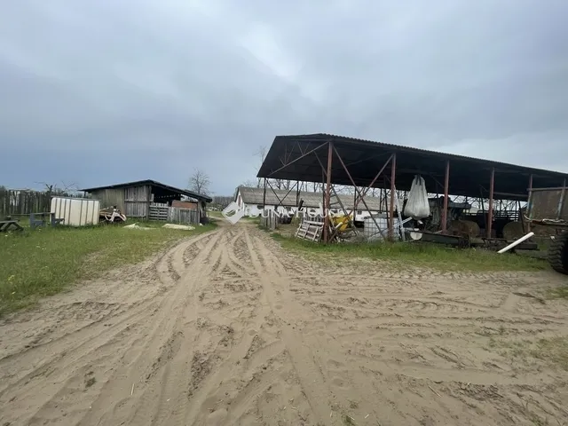 Eladó mezőgazdasági ingatlan Domaszék 117 nm