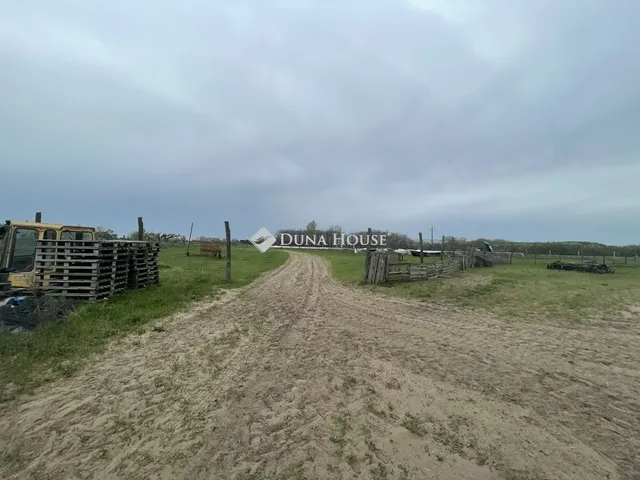 Eladó mezőgazdasági ingatlan Domaszék 117 nm