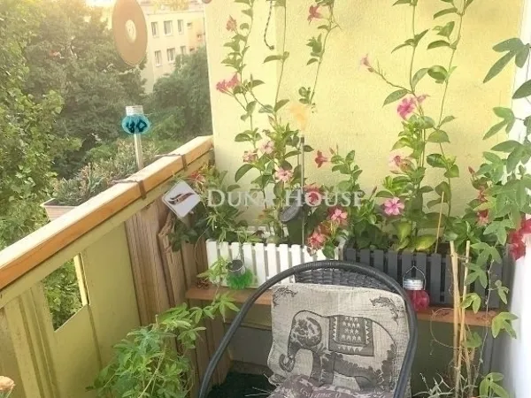 Eladó lakás Szeged 77 nm