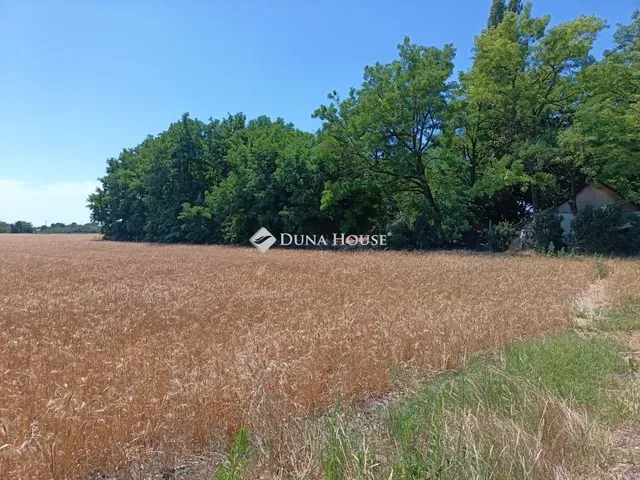 Eladó mezőgazdasági ingatlan Szeged 24458 nm