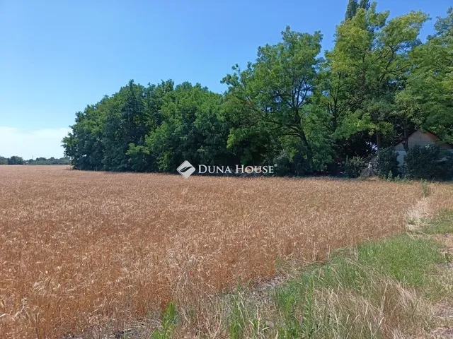 Eladó mezőgazdasági ingatlan Szeged 24458 nm