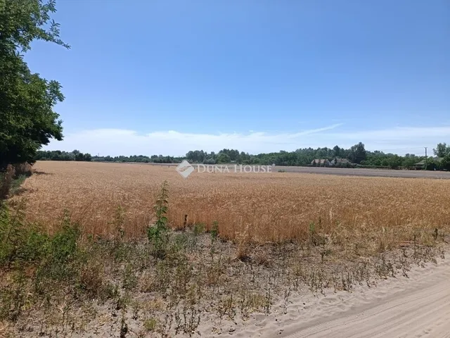 Eladó mezőgazdasági ingatlan Szeged 24458 nm