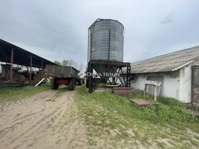 Eladó mezőgazdasági ingatlan Domaszék 117 nm