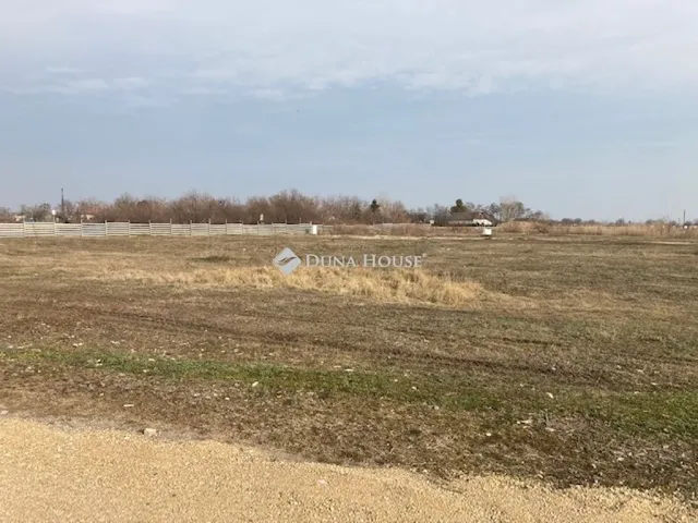 Eladó kereskedelmi és ipari ingatlan Algyő 40434 nm