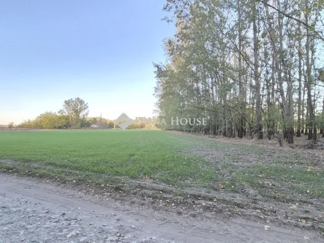 Eladó telek Kecskemét 78325 nm