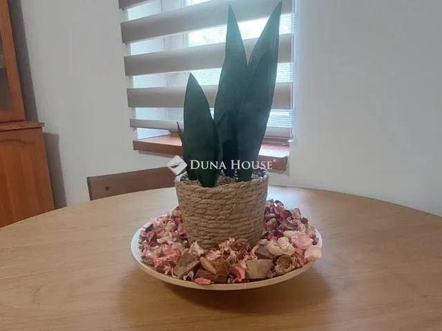 Eladó ház Mártély 100 nm