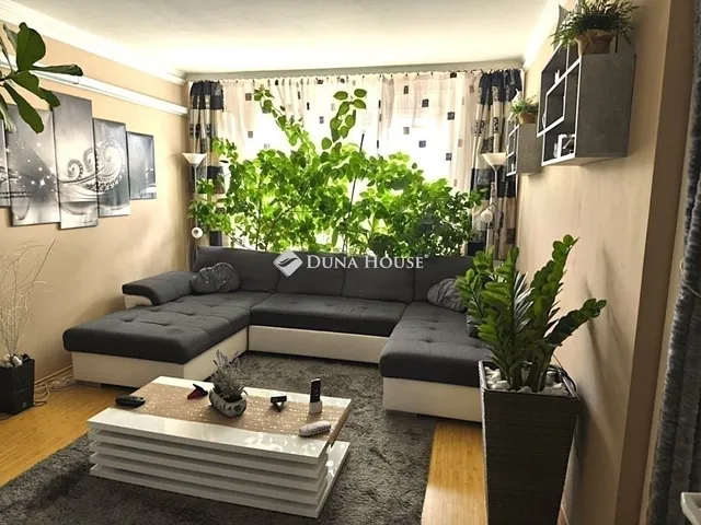 Eladó lakás Szeged 77 nm