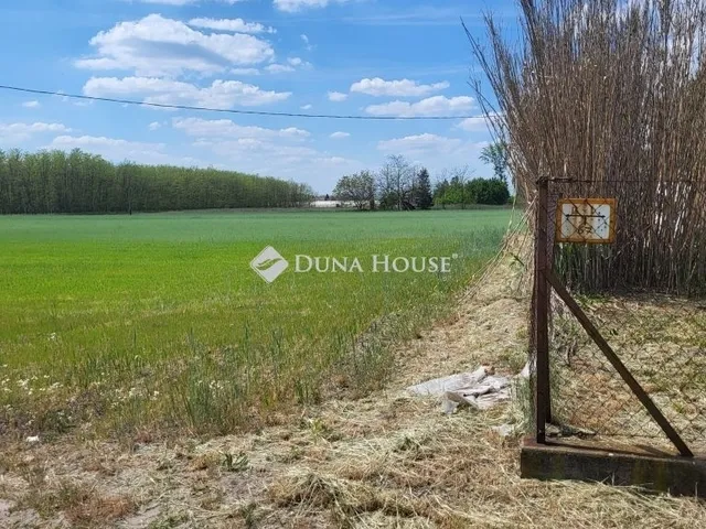 Eladó telek Balástya 18999 nm