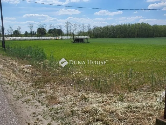 Eladó telek Balástya 18999 nm