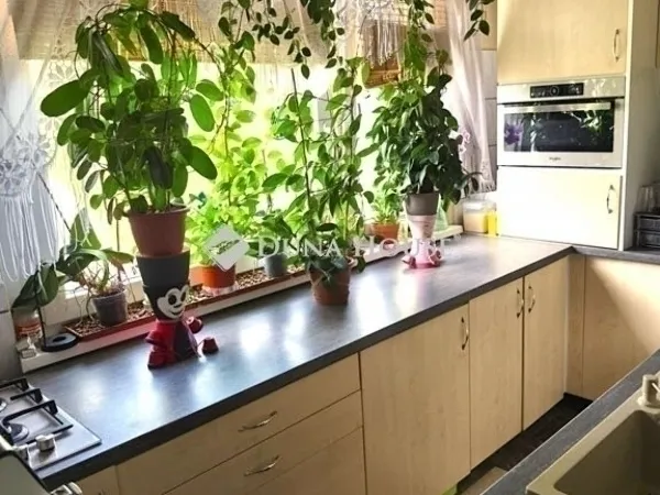 Eladó lakás Szeged 77 nm