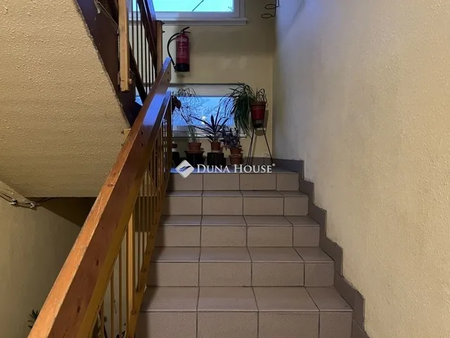 Eladó lakás Algyő 55 nm