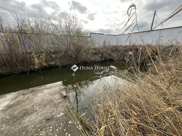 Eladó kereskedelmi és ipari ingatlan Szeged 981 nm