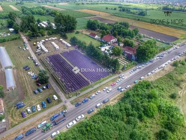 Eladó kereskedelmi és ipari ingatlan Csongrád 650 nm
