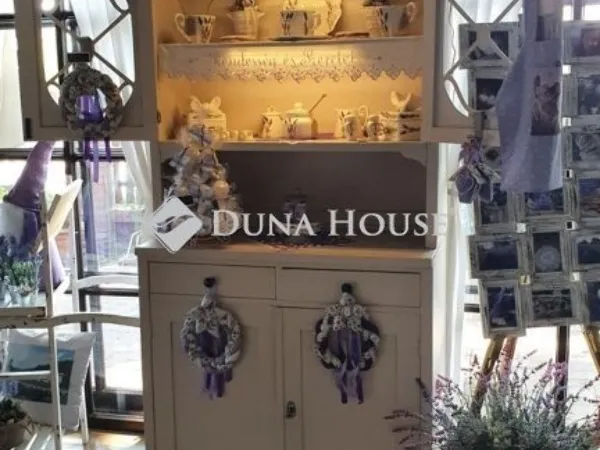 Eladó kereskedelmi és ipari ingatlan Csongrád 650 nm