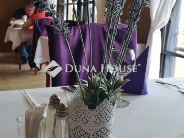 Eladó kereskedelmi és ipari ingatlan Csongrád 650 nm