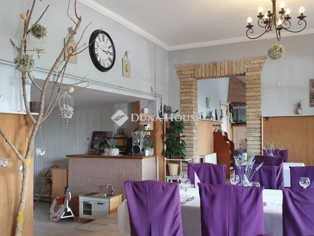 Eladó kereskedelmi és ipari ingatlan Csongrád 650 nm