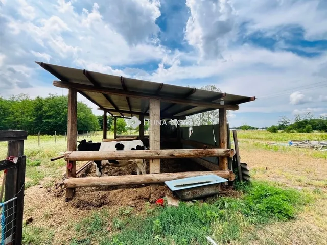 Eladó ház Balástya 113 nm