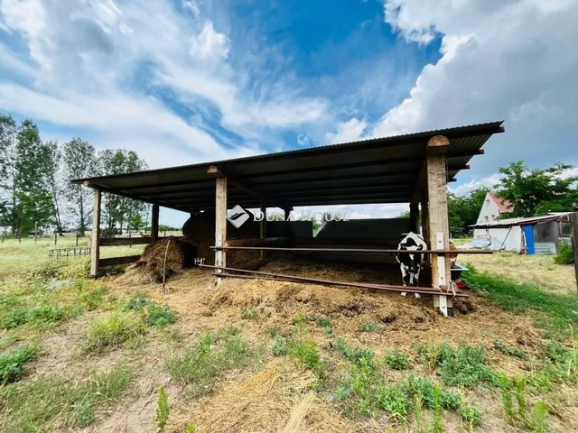 Eladó ház Balástya 113 nm