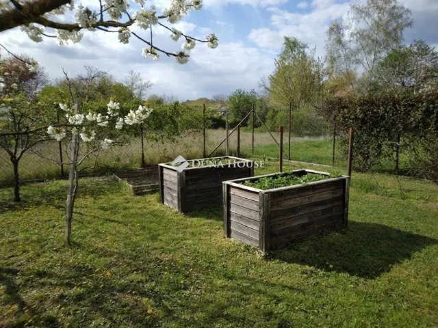 Eladó ház Szeged 180 nm