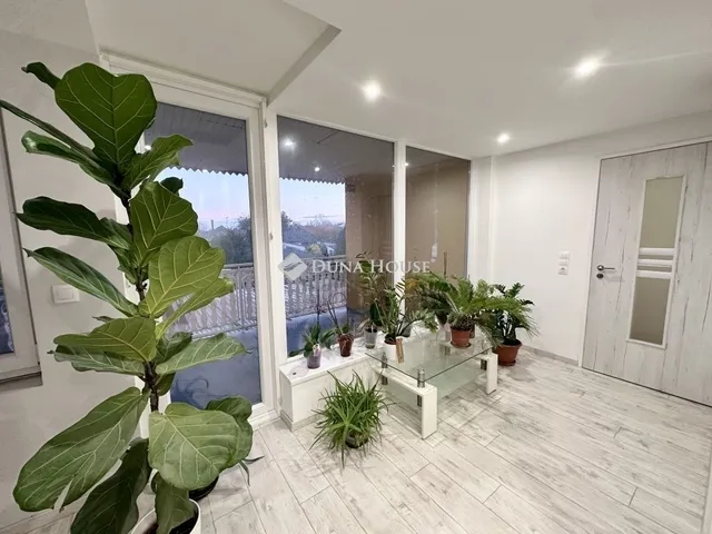 Eladó ház Hódmezővásárhely 189 nm