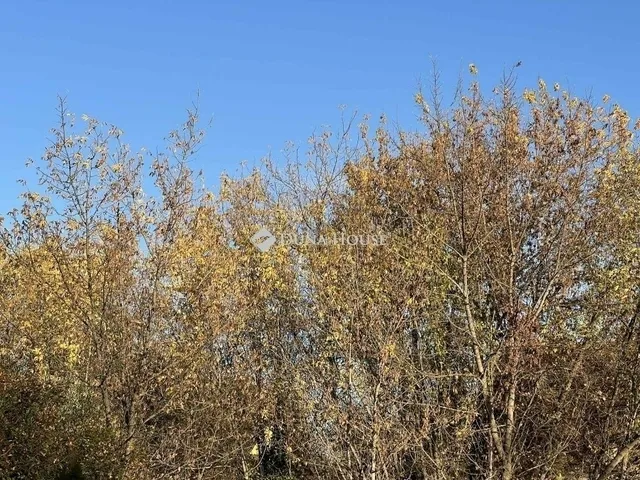 Eladó telek Szeged 387 nm