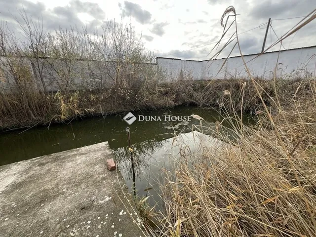 Eladó kereskedelmi és ipari ingatlan Szeged 981 nm