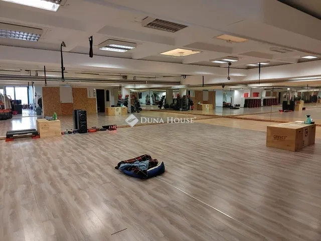 Eladó kereskedelmi és ipari ingatlan Szeged 270 nm