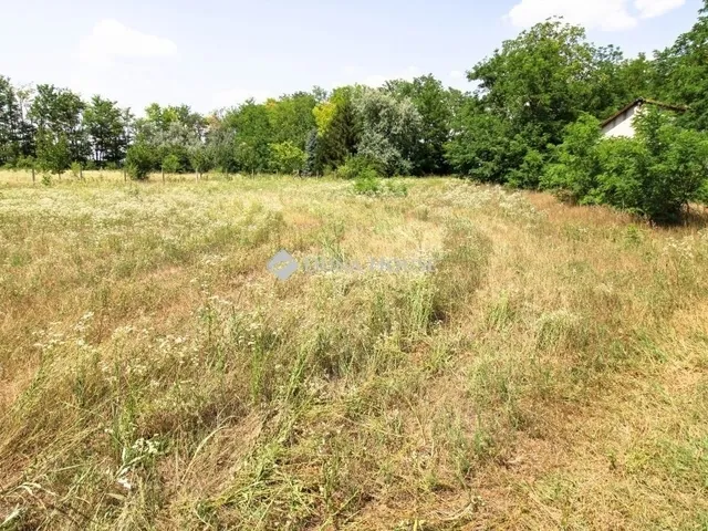 Eladó ház Domaszék 140 nm