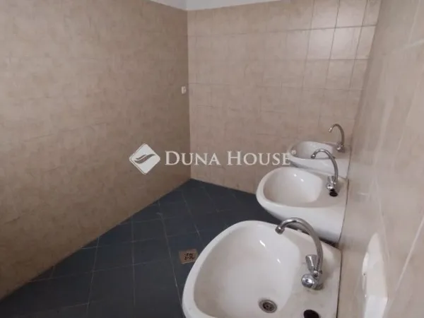 Eladó kereskedelmi és ipari ingatlan Újszentiván 300 nm