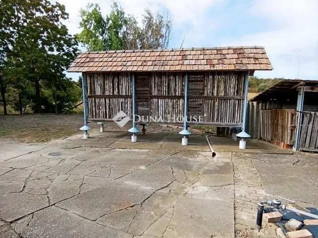 Eladó mezőgazdasági ingatlan Röszke 107 nm