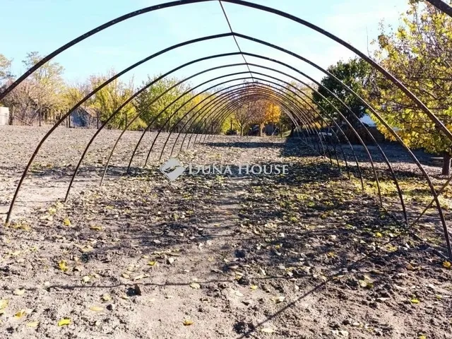 Eladó mezőgazdasági ingatlan Röszke 107 nm