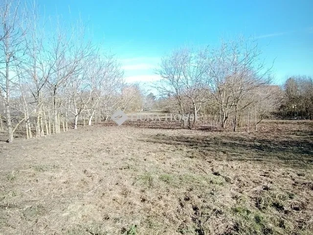 Eladó telek Hódmezővásárhely 3229 nm