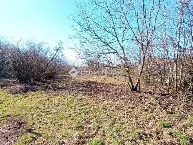 Eladó telek Hódmezővásárhely 3229 nm