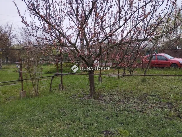 Eladó telek Szeged, Baktó 811 nm