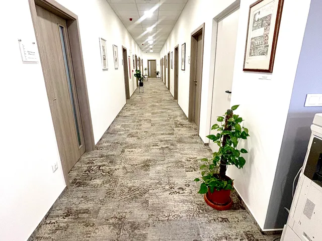 Kiadó kereskedelmi és ipari ingatlan Debrecen, Belváros, Barna 65 nm