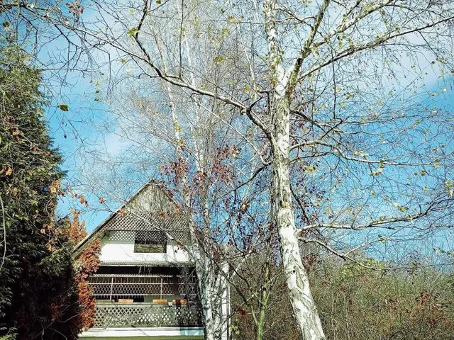 Eladó üdülő és hétvégi ház Miskolc, Miskolctapolca 38 nm