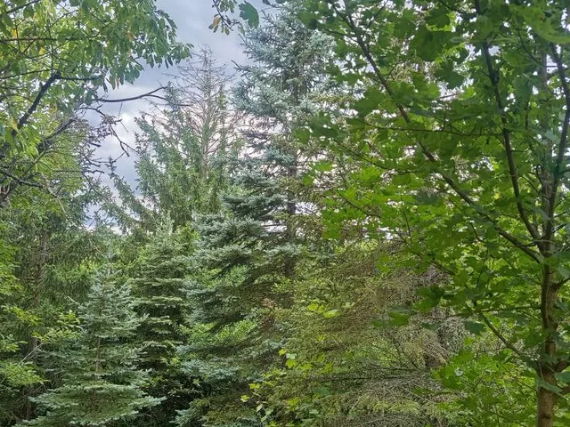 Eladó mezőgazdasági ingatlan Miskolc, Miskolctapolca 30 nm