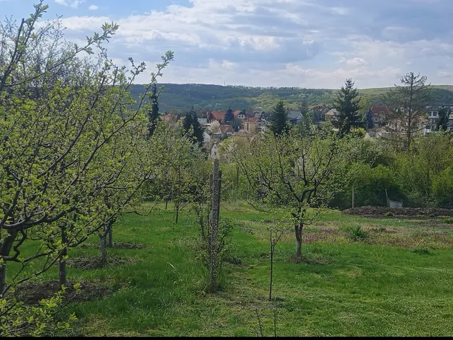 Eladó telek Miskolc, Miskolctapolca 1312 nm