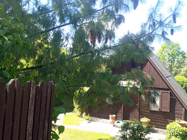 Eladó üdülő és hétvégi ház Miskolc, Miskolctapolca 55 nm