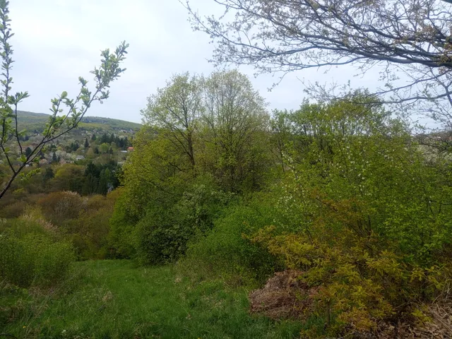 Eladó telek Miskolc, Miskolctapolca 771 nm