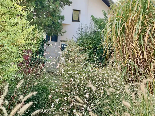 Eladó ház Telki 140 nm