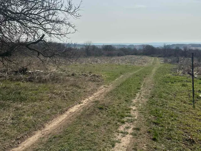 Eladó telek Várpalota 3575 nm