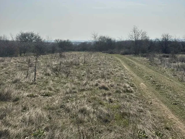 Eladó telek Várpalota, Széphegy dülő 3575 nm