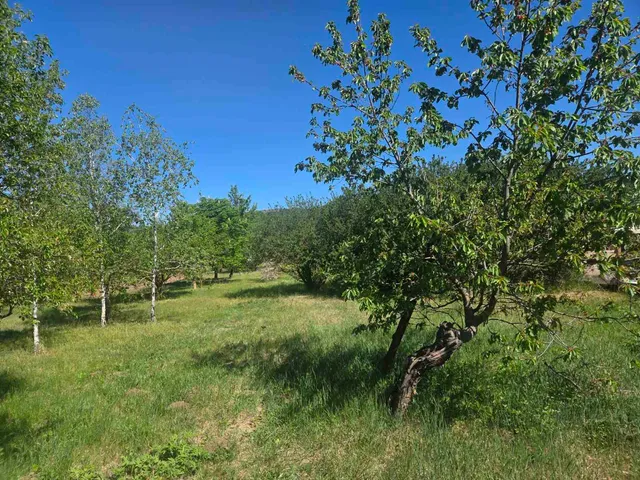 Eladó telek Várpalota, Inota, Hadi út 1000 nm