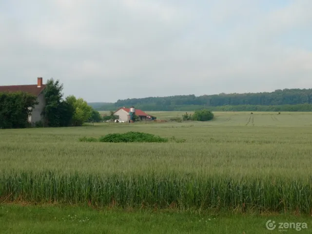 Eladó mezőgazdasági ingatlan Balatonkeresztúr 280 nm