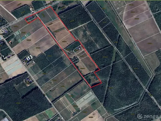 Eladó mezőgazdasági ingatlan Ópusztaszer 96085 nm