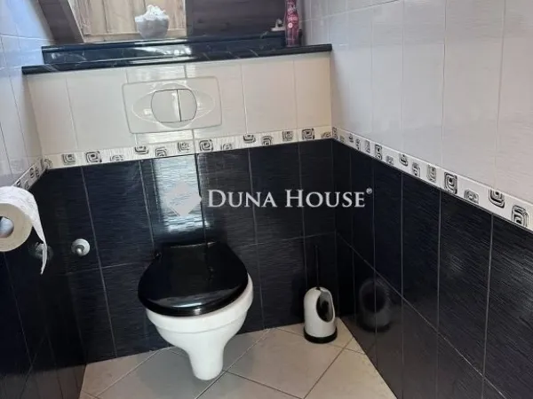 Eladó ház Üllő 280 nm