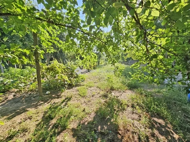 Eladó ház Budapest XXI. kerület 115 nm